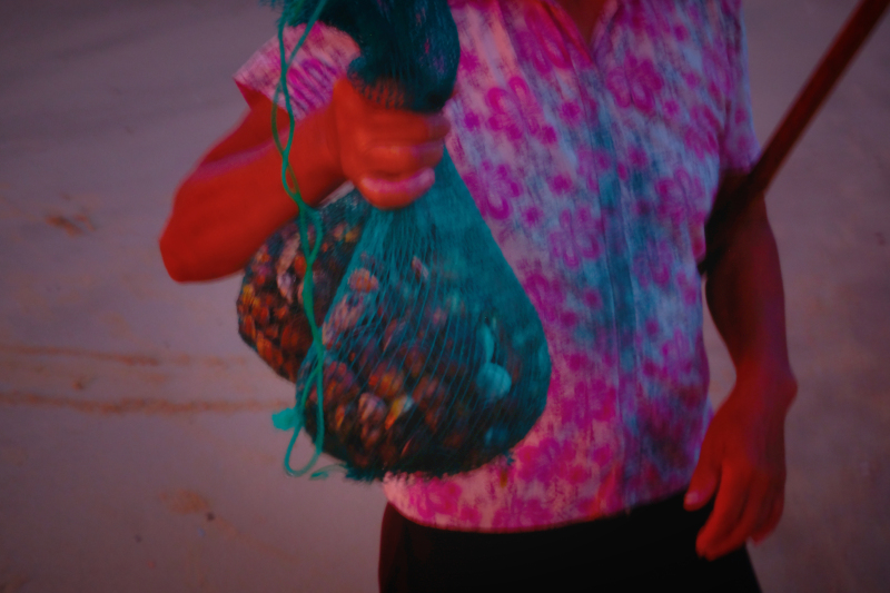 湛江遂溪角头沙旅游攻略,湛江江洪镇旅游攻略