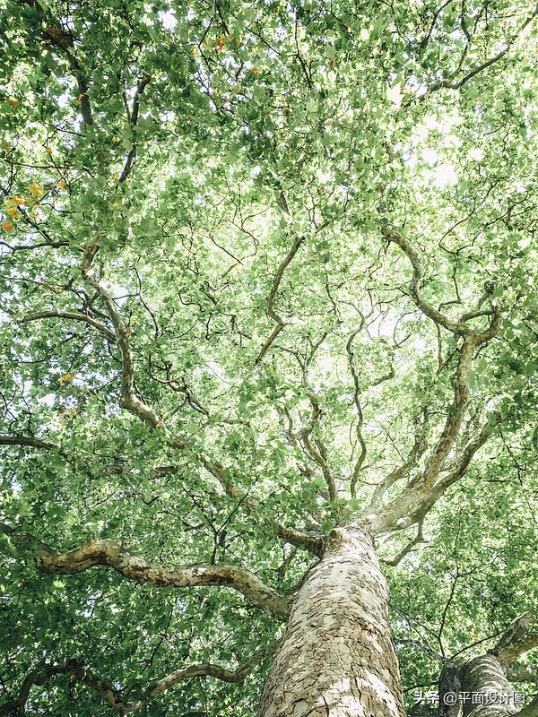 经典延续儿时回忆录,ricohgr效果