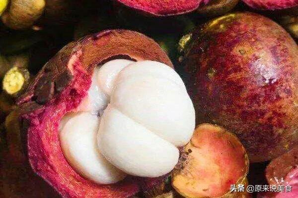 山竹怎么挑选公母不白吃,海南野生山竹树怎么分公母