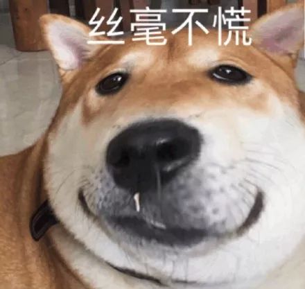 30岁在墨尔本留学生真实生活,墨尔本留学生日常生存观察实录