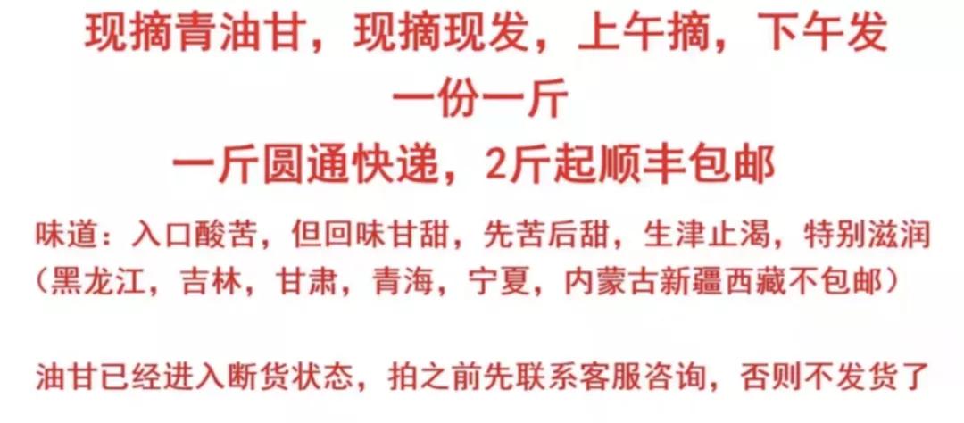 霸气玉油柑真的排油吗,奈雪霸气玉油柑功效