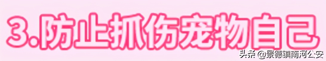 “割声带、截肢、电击，当爱变成我的噩梦”