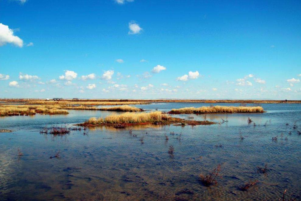 达里诺尔湖,达里诺尔湖原唱视频