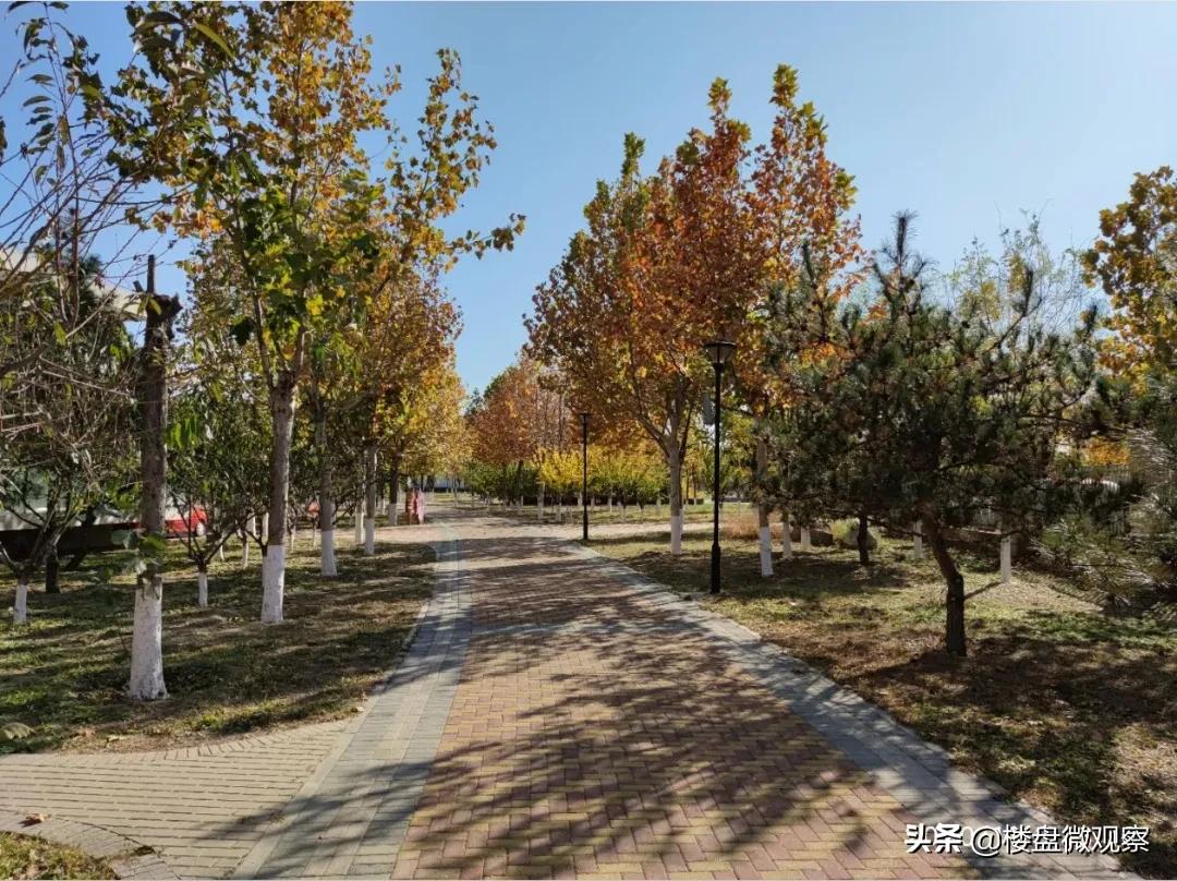 中海寰宇视界值得投资吗,中海寰宇视界有升值潜力吗