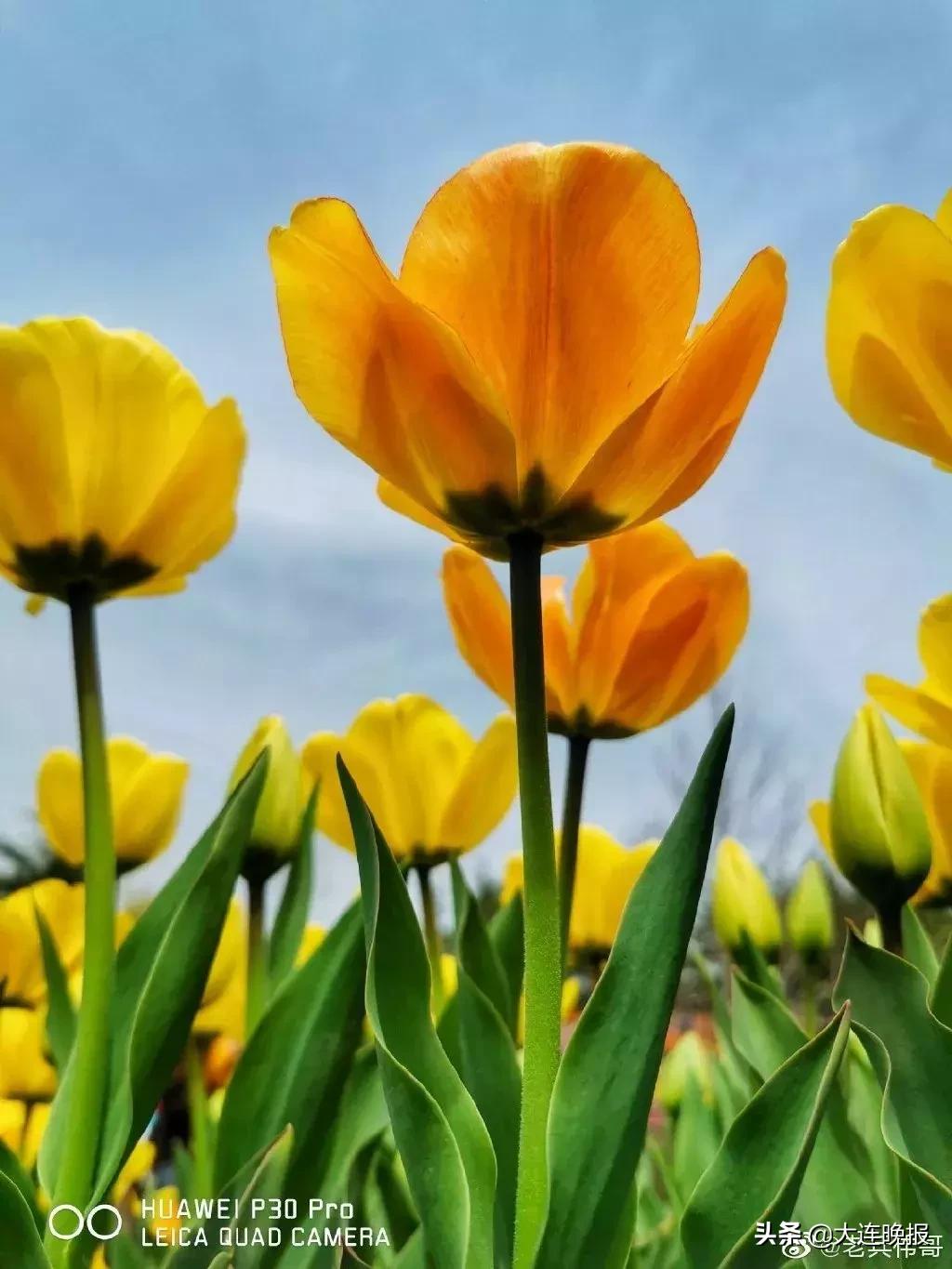 大连旅游必去景点路线推荐,大连最佳的旅游路线