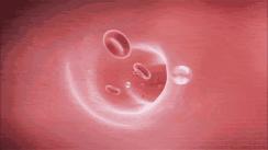 血糖有没有办法自测,血糖要怎么自测