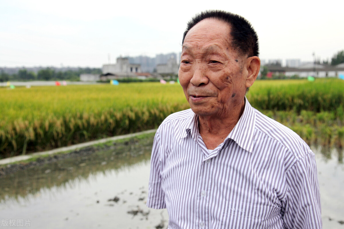 袁隆平8个字谈成功的秘诀,袁隆平创新事例