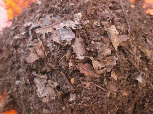 田园土与营养土配比多少适应养花,植物营养土如何自己配制