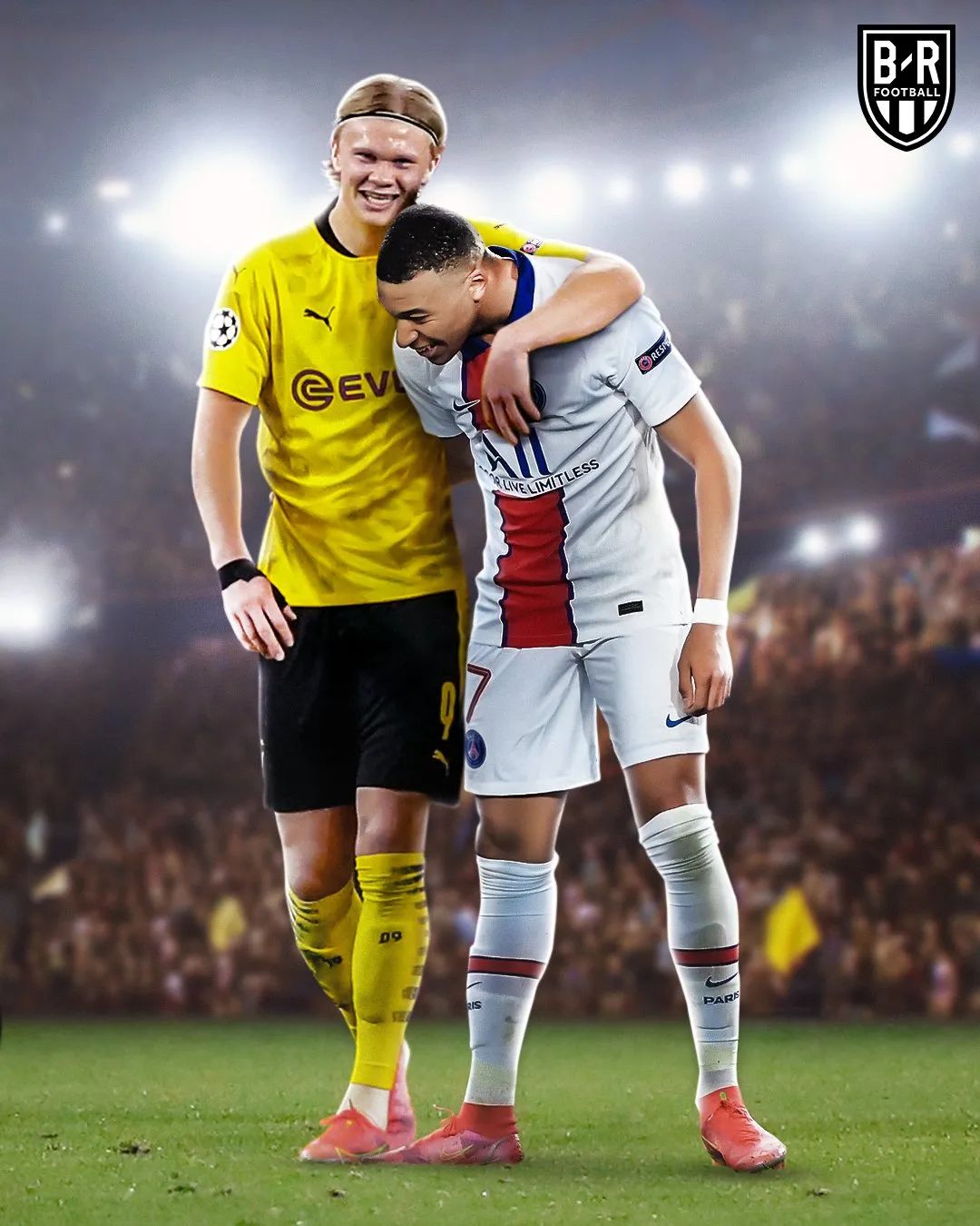 巨龙困斑马，黄蜂覆脸盆