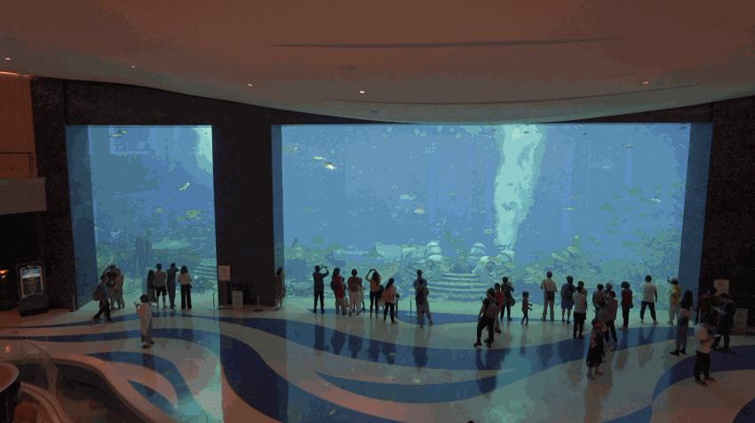 上九天揽月,下五洋捉鳖。看二孩老父亲如何带全家打卡亚特兰蒂斯