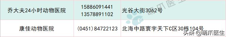 宠物医院必看,不坑的宠物医院推荐