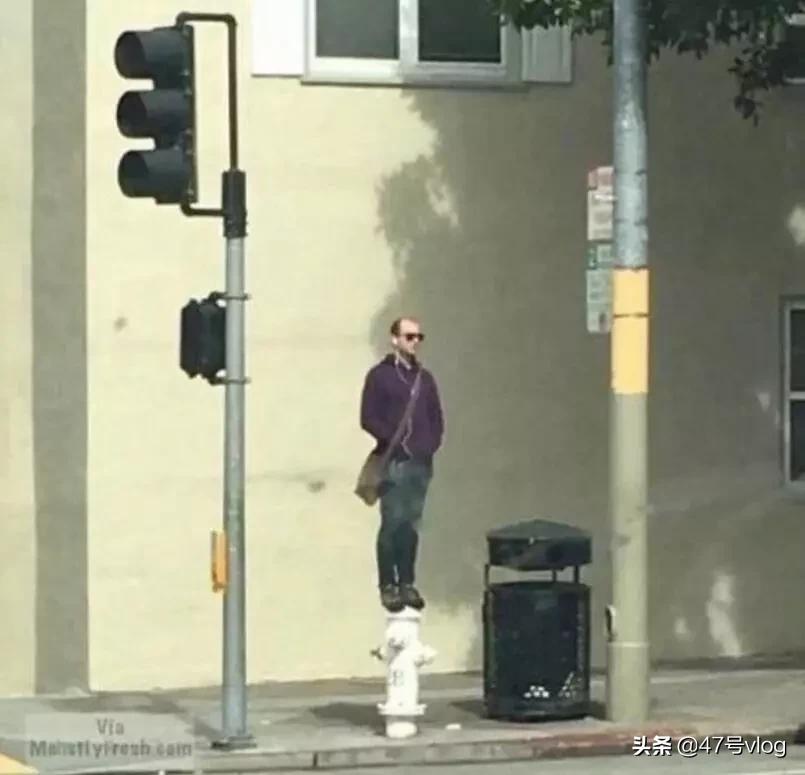 家里两只猫咪可以一起养吗,家里有宝宝适合养什么猫咪