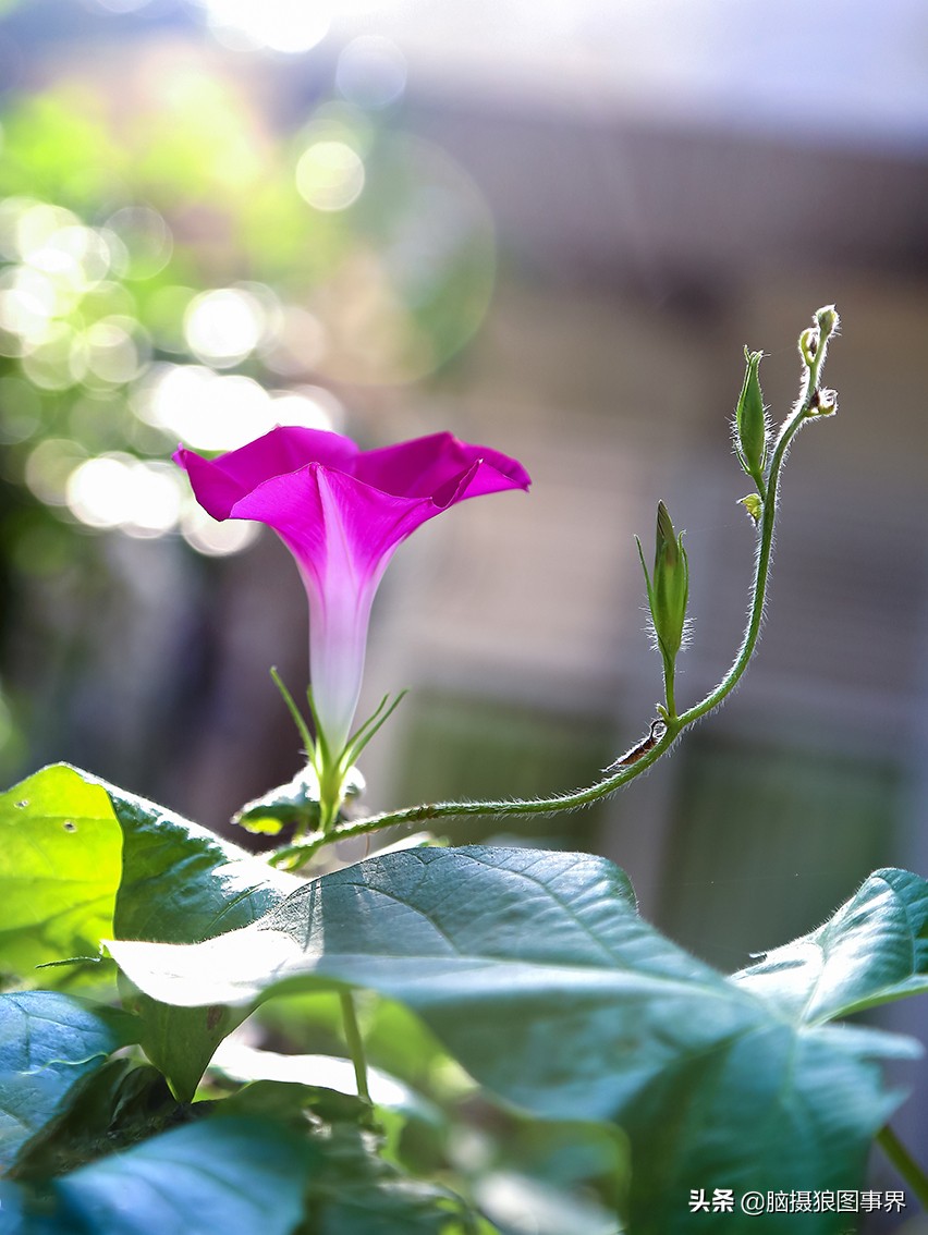 佳能6d现在有新的吗,佳能6d相机寿命多少时间