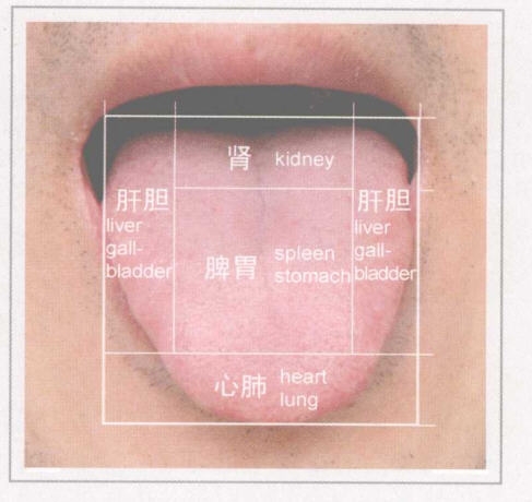 从舌头看身体状况拍照,如何看舌头判断孩子身体状况