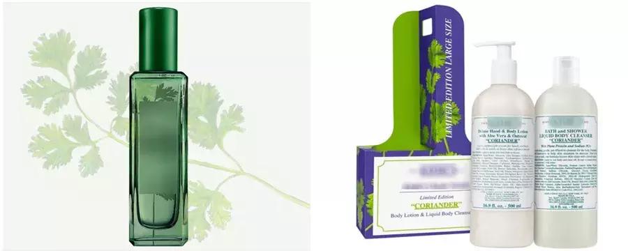 真的不要香菜吗,为什么不要香菜