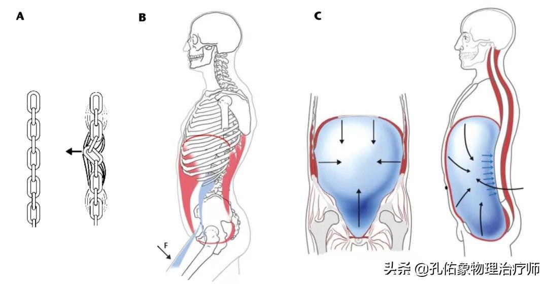孕妈妈产后为什么会腰痛,产后三个月的宝妈腰酸腰疼咋回事