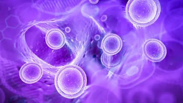 冰桶挑战诱发渐冻症,冰桶挑战渐冻人死亡