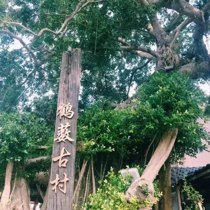 深圳最具特色的十个小镇,深圳深业特色小镇在哪里