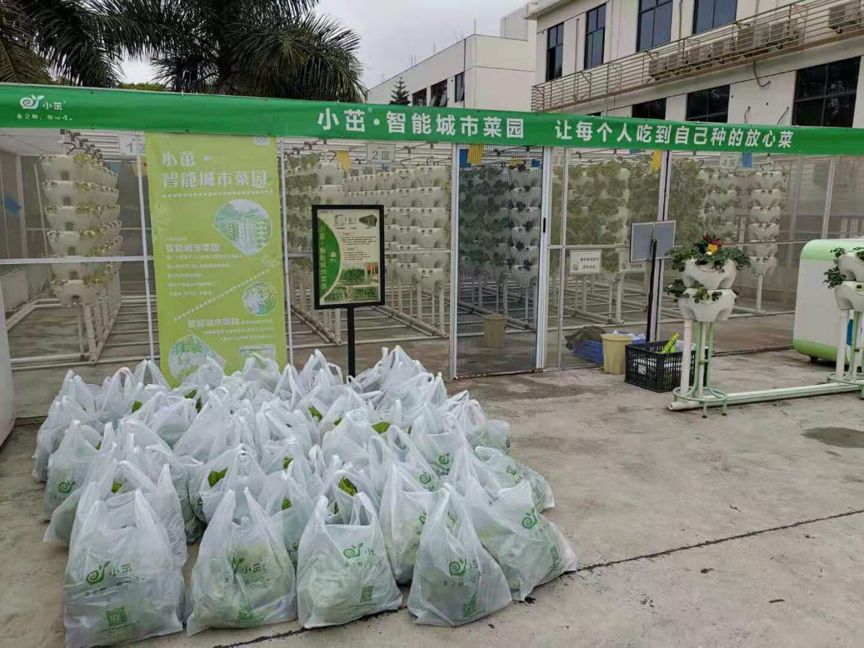 菜吧：草木皆兵，疫情之下的农场主们