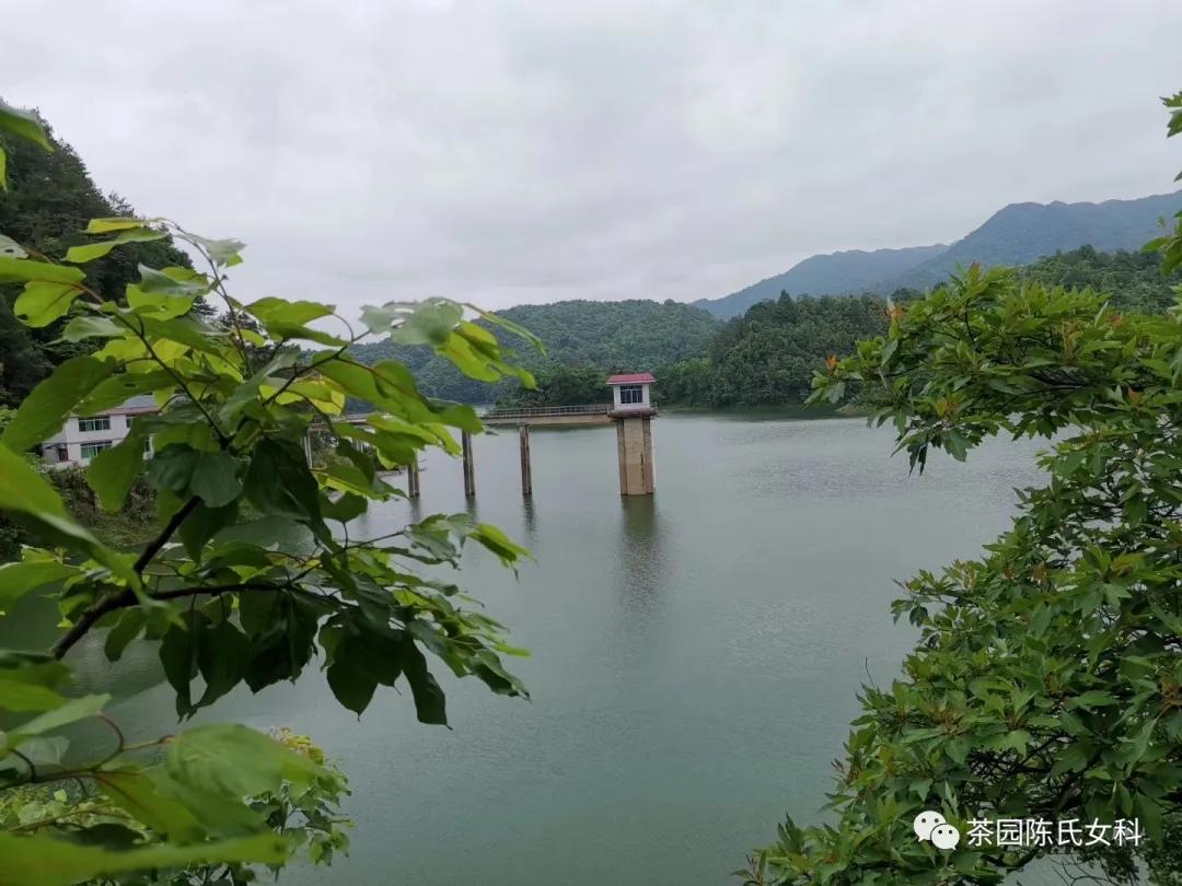 月经期间吃什么养子宫和卵巢,月经太少吃什么补得快