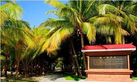 西沙群岛的美丽和富饶,西沙群岛的特殊