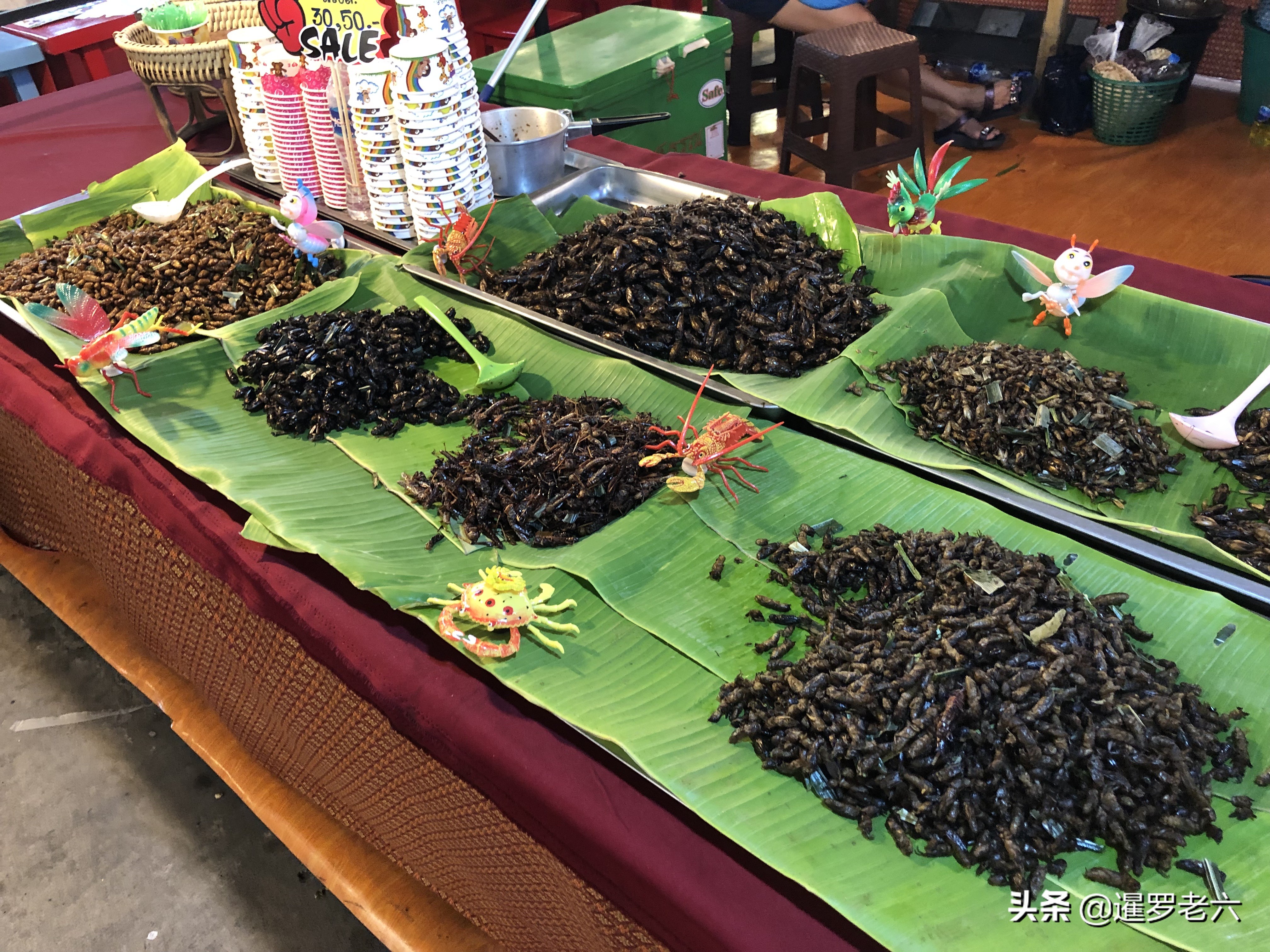 去曼谷必玩的地方,去曼谷有什么推荐的