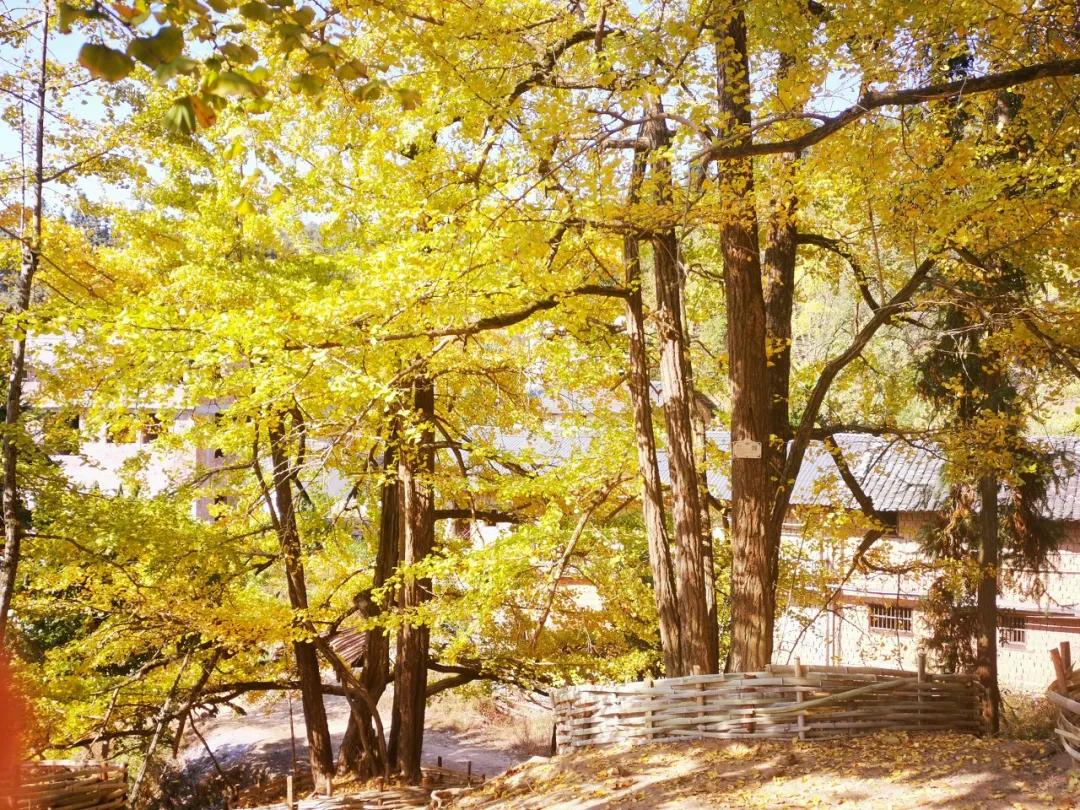 60岁前必去的中国各省区最美天堂,全国各省最美天堂你都去对了吗