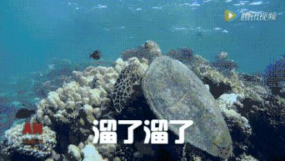 它“避得了邪”，却护不住自己