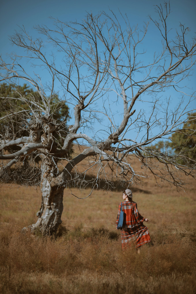 自驾呼伦贝尔|七千里路云和月,写给秋天和自己的故事