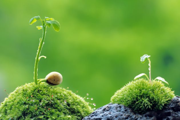 仁爱版七年级英语（下册）Unit5Topic3预习资料与知识梳理