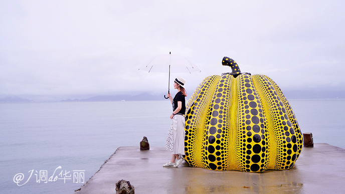 日本大阪距东京多摩市多远,日本大阪离海边有多远