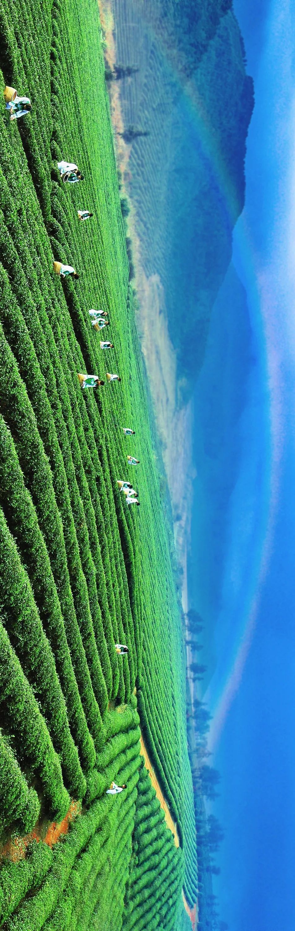 这是一条长达13000公里的推送......