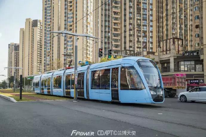 从蓉2来｜天天看见“叮叮猫”跑来跑去的，它到底在忙什么啊？