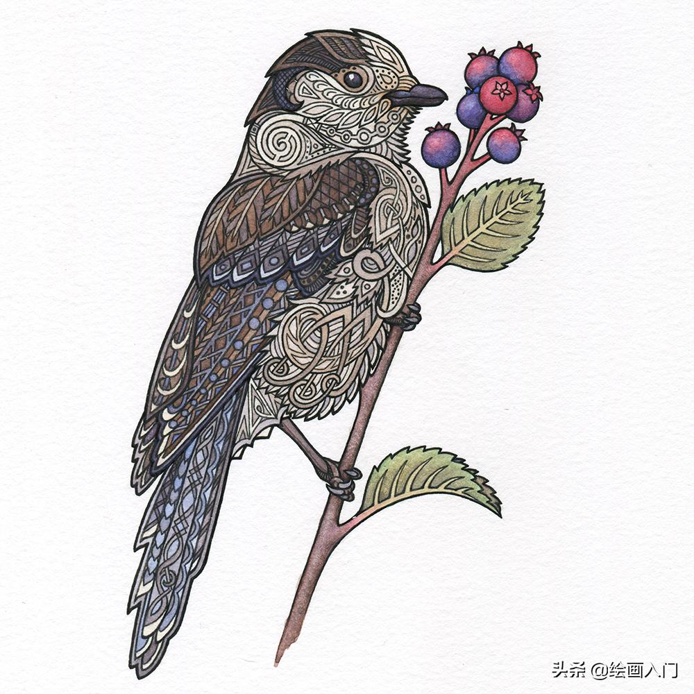 复古气息的几何图形插画,插画师的动物花卉水彩插画作品