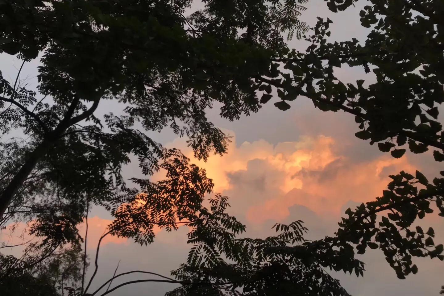 蒋勋老师细说红楼梦,蒋勋细说红楼梦怎么听不了了