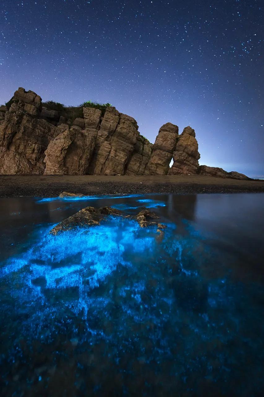 三亚和厦门哪一个更值得去旅游,三亚和厦门哪个更值得去旅游