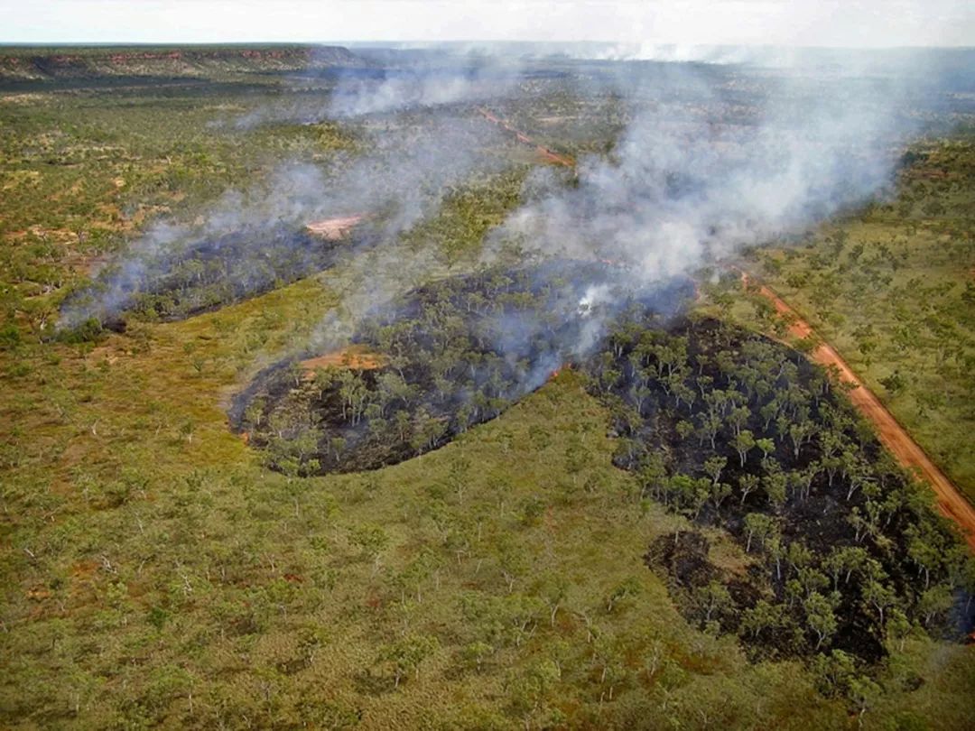 土著治疗者怎么打,土著方略
