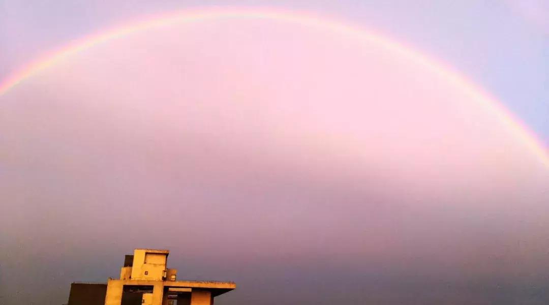 风雨彩虹！2456.2万曝光量！洛阳，这一次太惊艳了.......