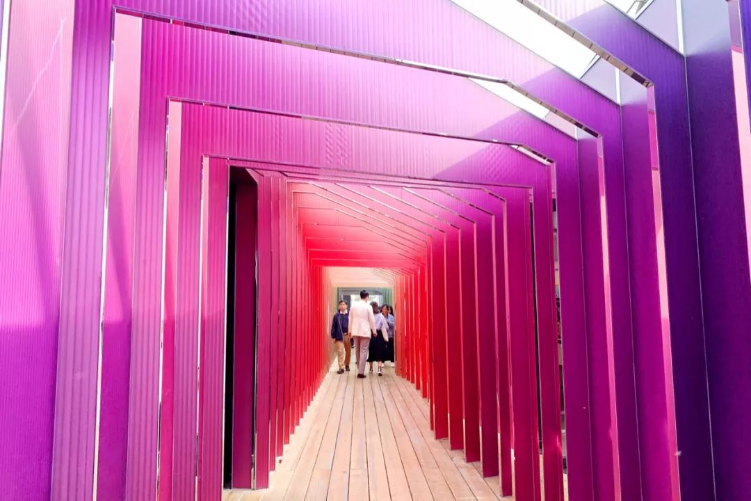 扫街日记第三日,4月日记