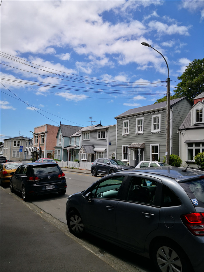 新西兰总理府前吃素食