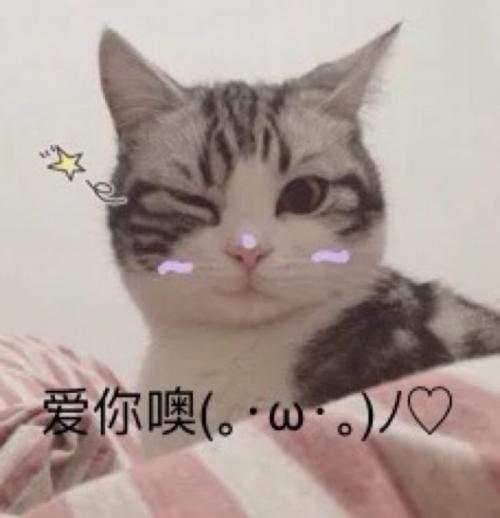 拼多多怎么开直通车推广比较好,拼多多直通车搜索和场景推广区别