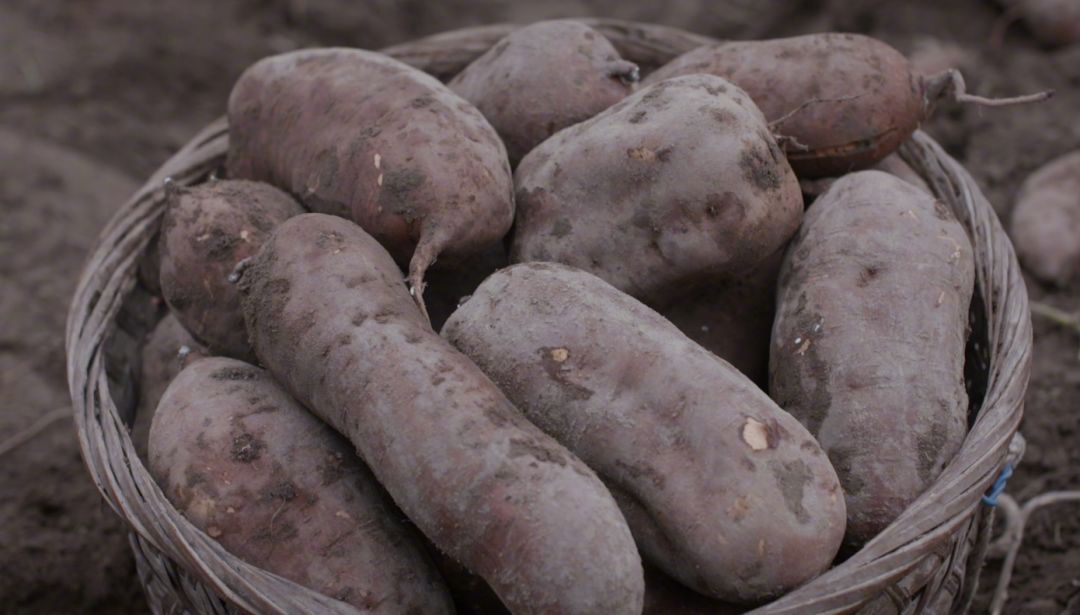 到福建必吃的特色菜有哪些,值得跨省去吃的美食
