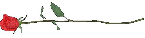 大鹏哪些路段禁摩,深圳宝安哪些道路是禁摩