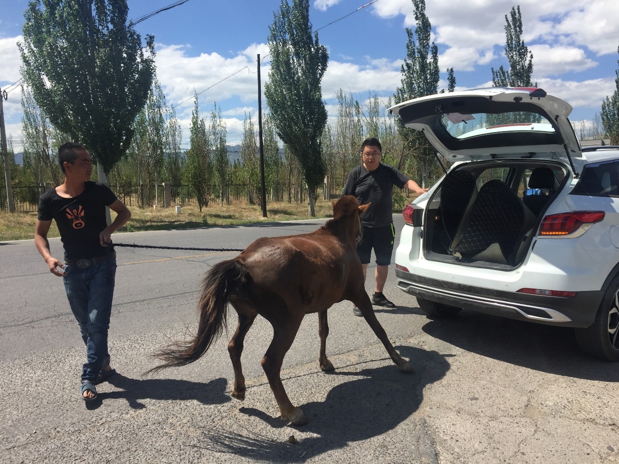 高档大气上档次宝马最强量产suv,国产宝马新suv