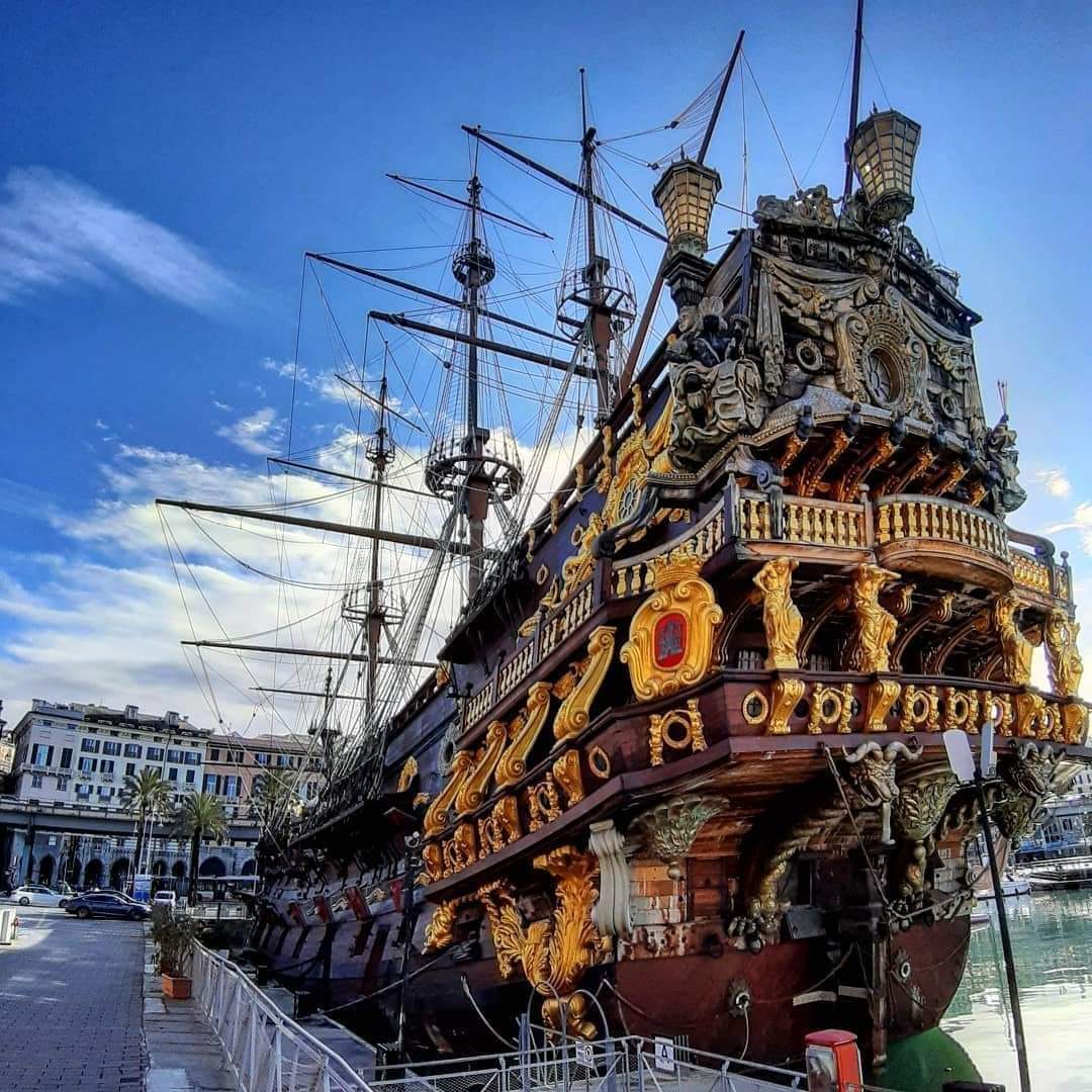 31张活久见的有趣图片,鳄鱼电鳗同归于尽渔翁得利