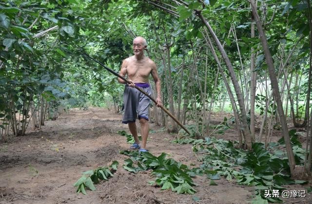 麦收农具,古老麦收农具大全