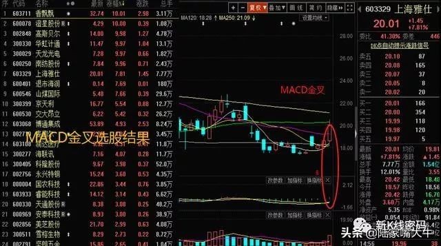股价的生命线——MA24的用法，常见的生命线选股操作