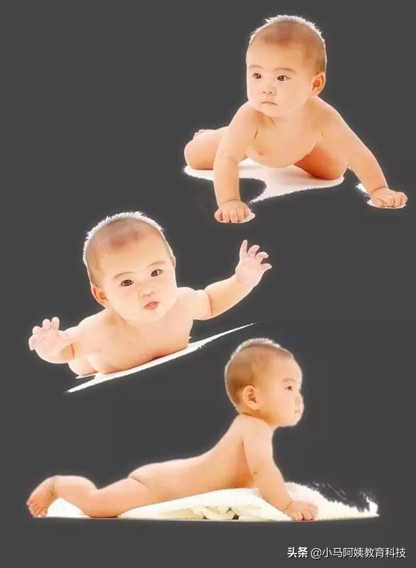 爬行三要素,爬行的3个步骤