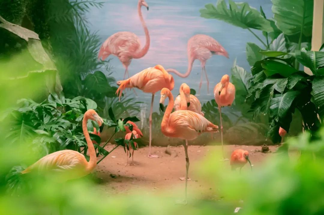 选址南宁再出发，打造珠海长隆的那个人还能再创“神话”吗？