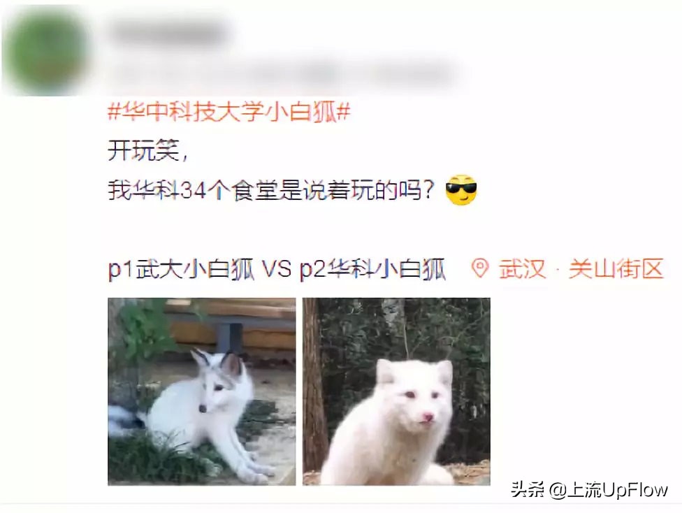 山顶洞人和现代人有什么区别,山顶洞人相比北京人有哪些进步